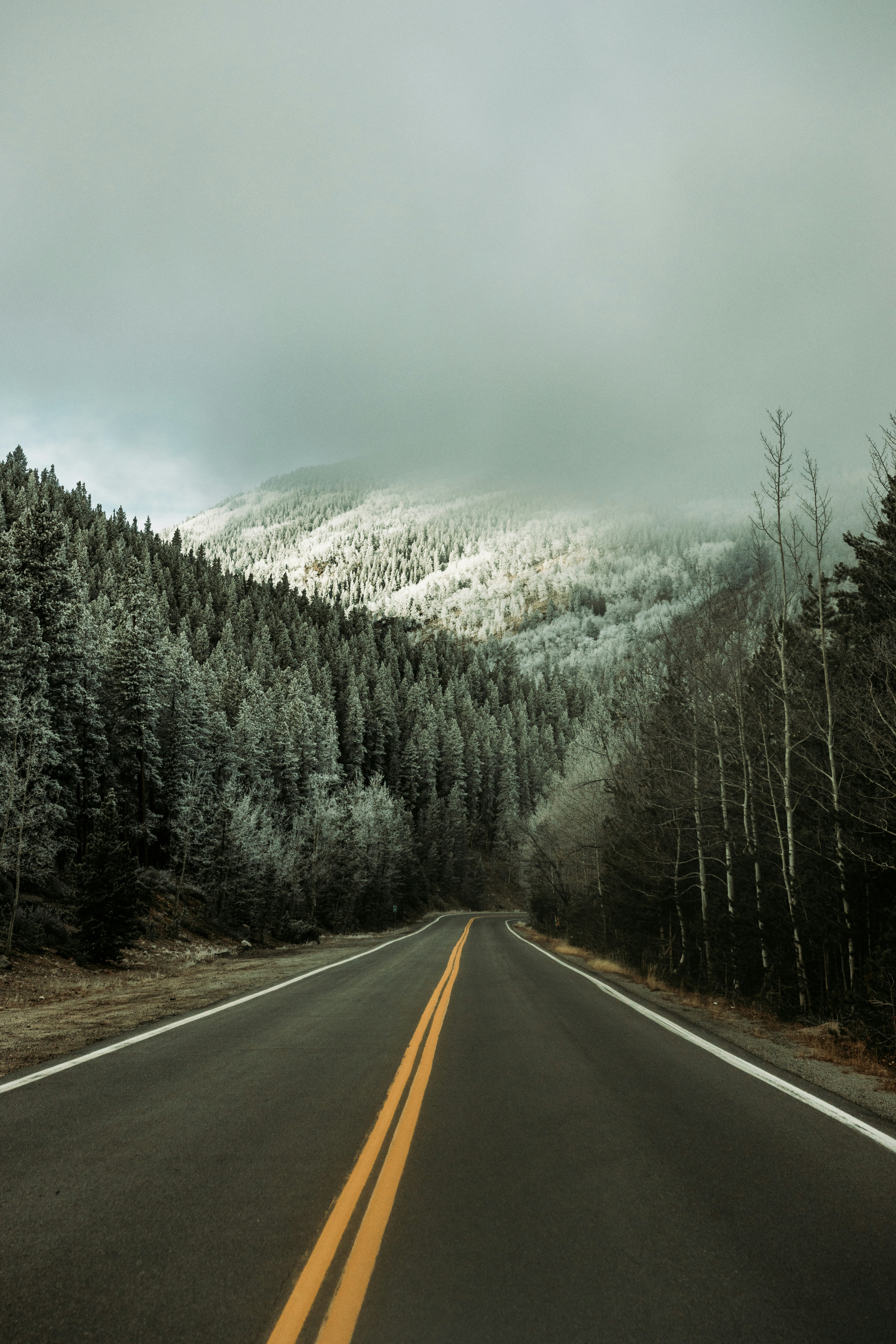 gray concrete road between trees and snow covered mountain during daytime